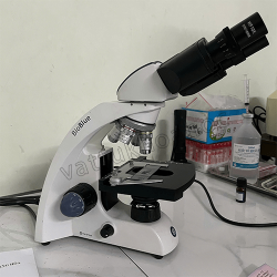 Kính hiển vi 2 mắt BioBlue Lab BB.1152-PLi (Euromex - Hà Lan)