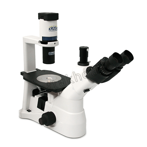 Kính hiển vi soi ngược MBL3200